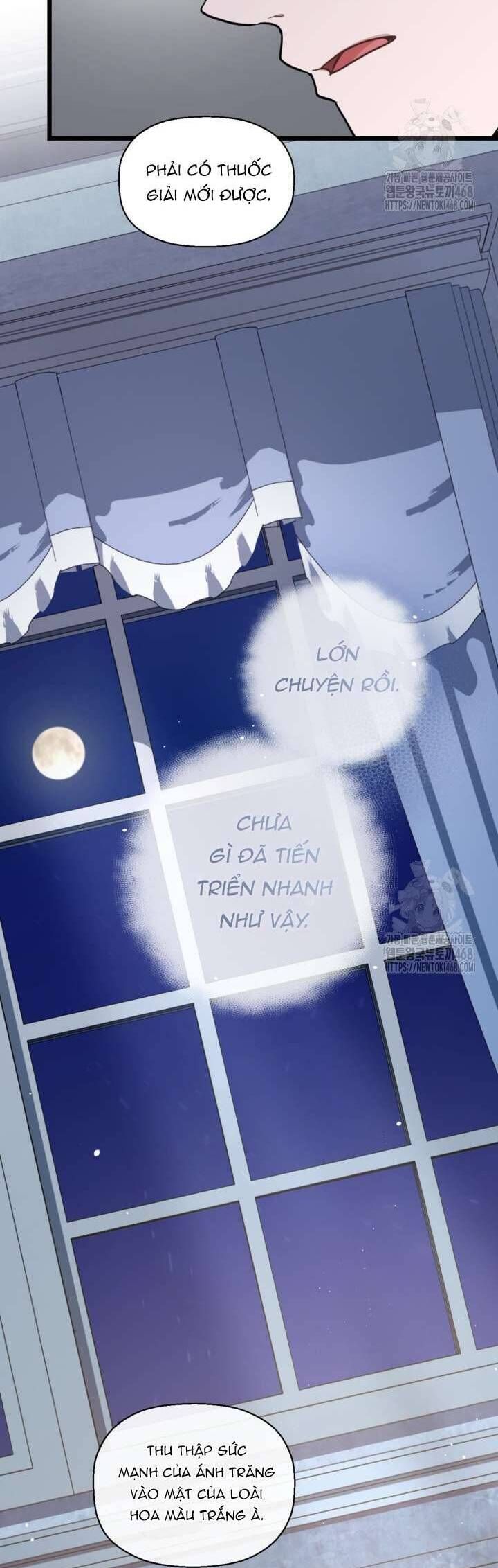 Bệ Hạ, Xin Hãy Quên Tôi Đi: Chapter 15