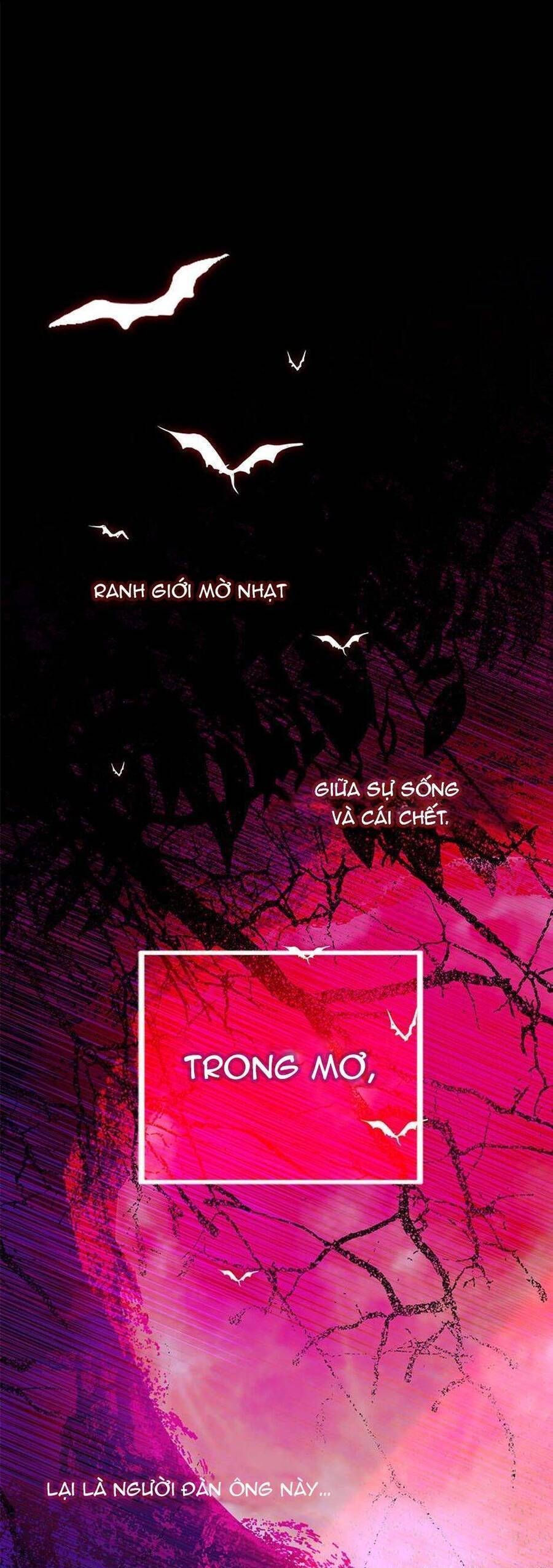 Bệ Hạ, Xin Người Hãy Dừng Lại Đi!: Chapter 1