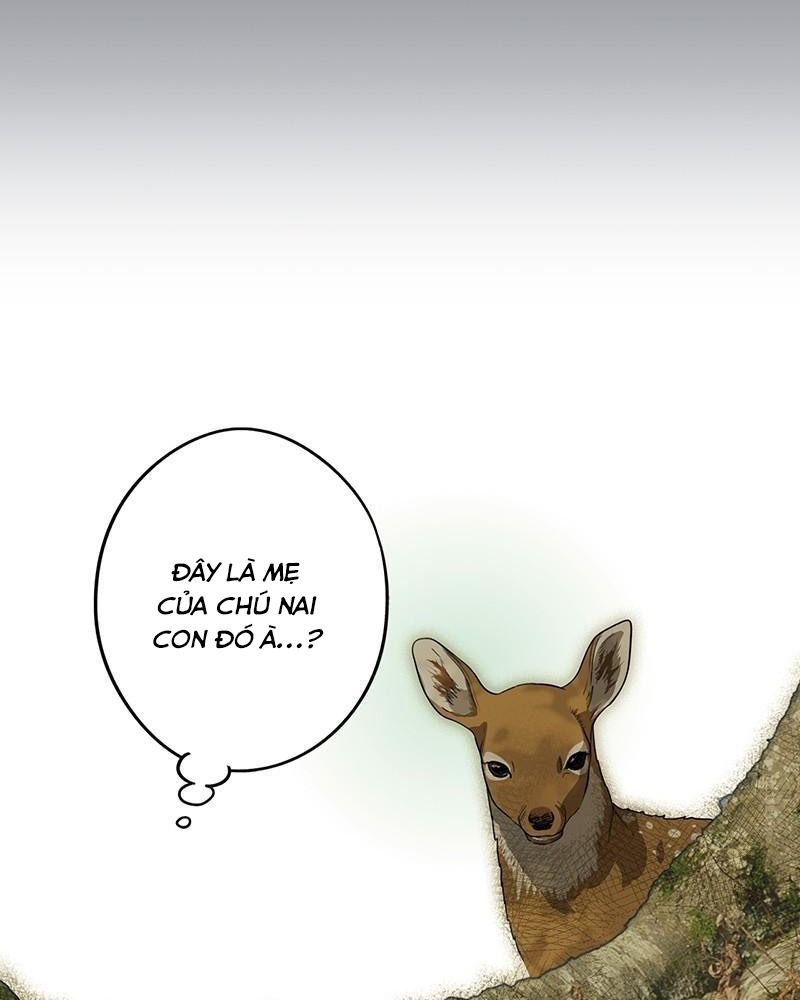 Bị Che Khuất Bởi Mặt Trời Lặn: Chapter 157