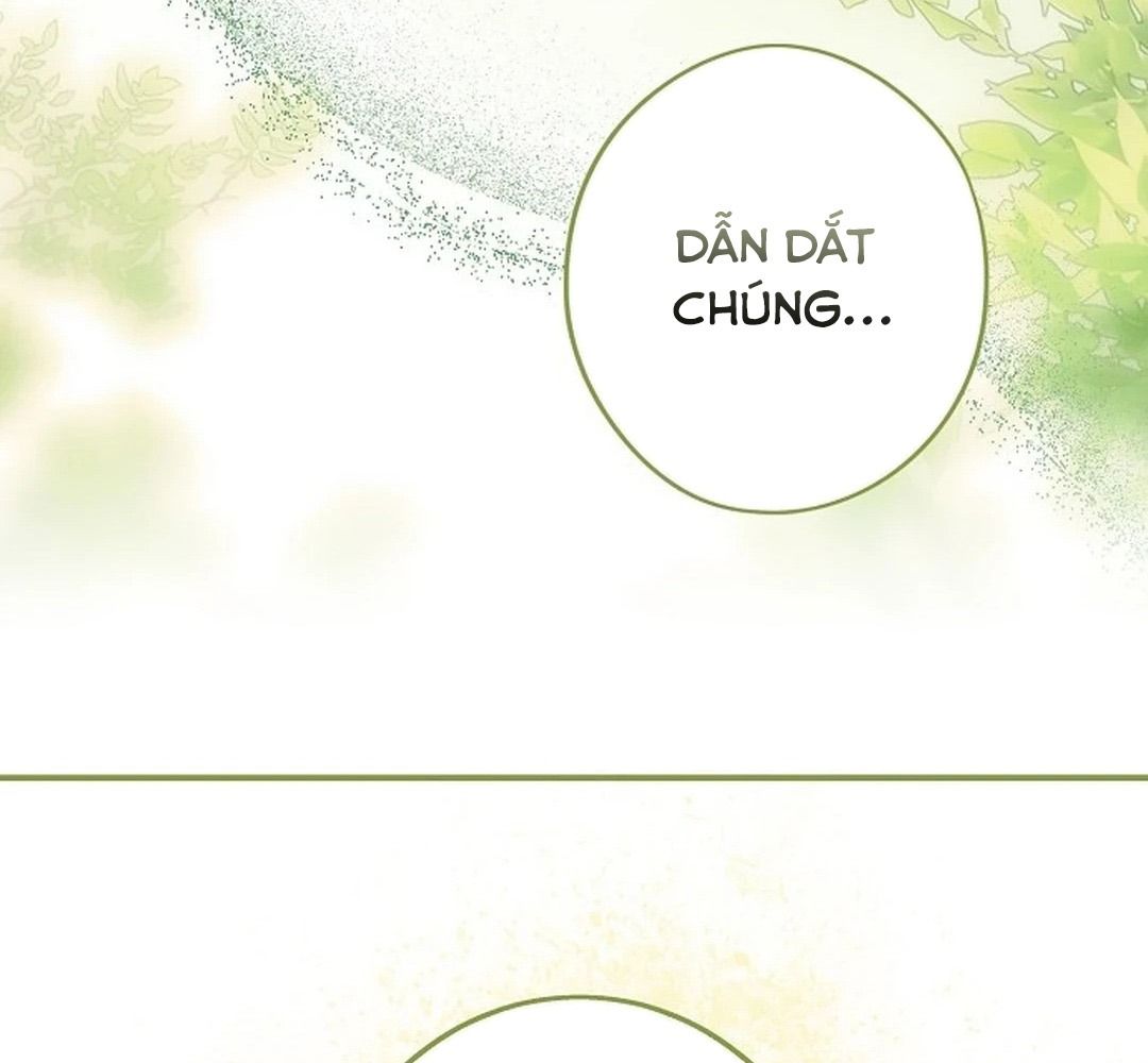 Bị Che Khuất Bởi Mặt Trời Lặn: Chapter 195