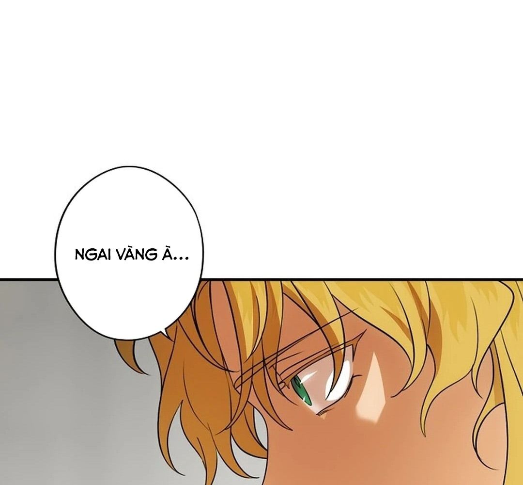 Bị Che Khuất Bởi Mặt Trời Lặn: Chapter 196
