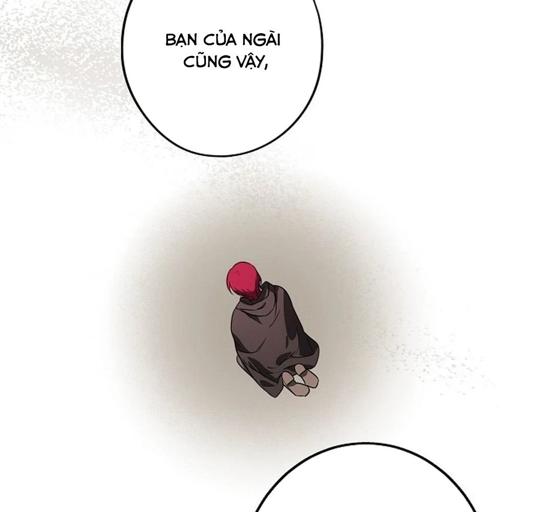 Bị Che Khuất Bởi Mặt Trời Lặn: Chapter 196