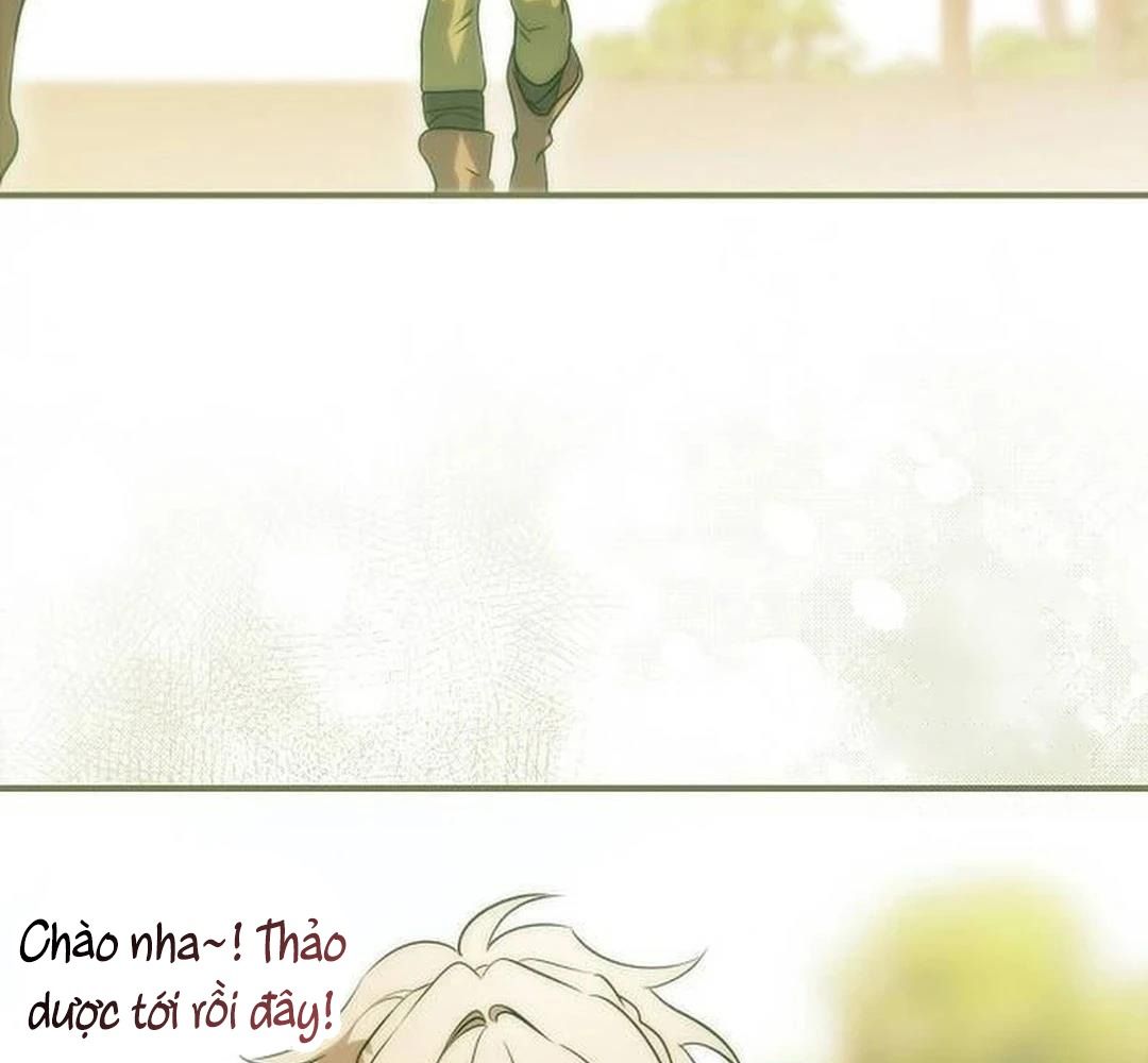 Bị Che Khuất Bởi Mặt Trời Lặn: Chapter 200