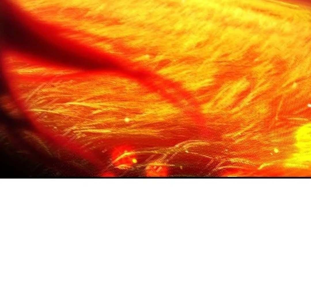 Bị Che Khuất Bởi Mặt Trời Lặn: Chapter 204