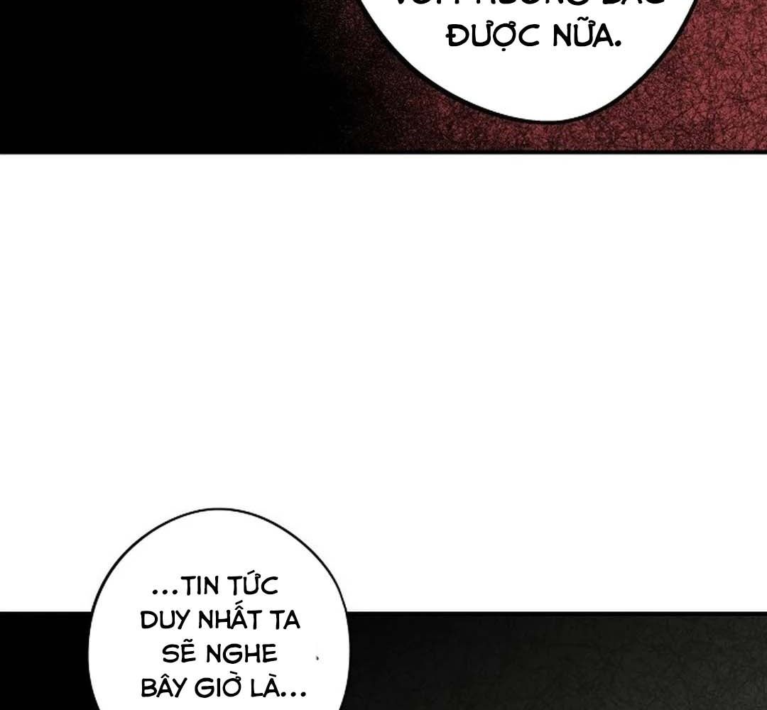 Bị Che Khuất Bởi Mặt Trời Lặn: Chapter 205
