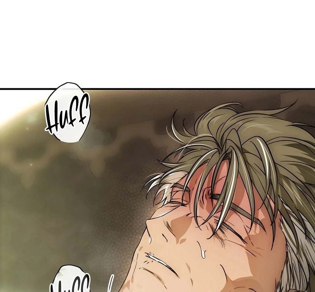 Bị Che Khuất Bởi Mặt Trời Lặn: Chapter 205