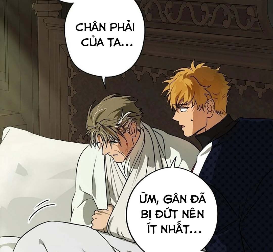 Bị Che Khuất Bởi Mặt Trời Lặn: Chapter 205