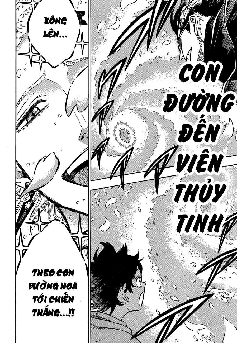 Black Clover: Chapter 116