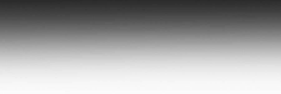 Bố Tôi Là Đặc Vụ: Chapter 12.8