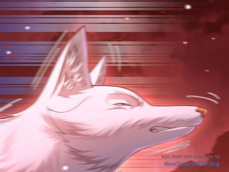 Bói Toán Mà Thôi, Cửu Vĩ Yêu Đế Sao Lại Thành Nương Tử Ta?!: Chapter 86