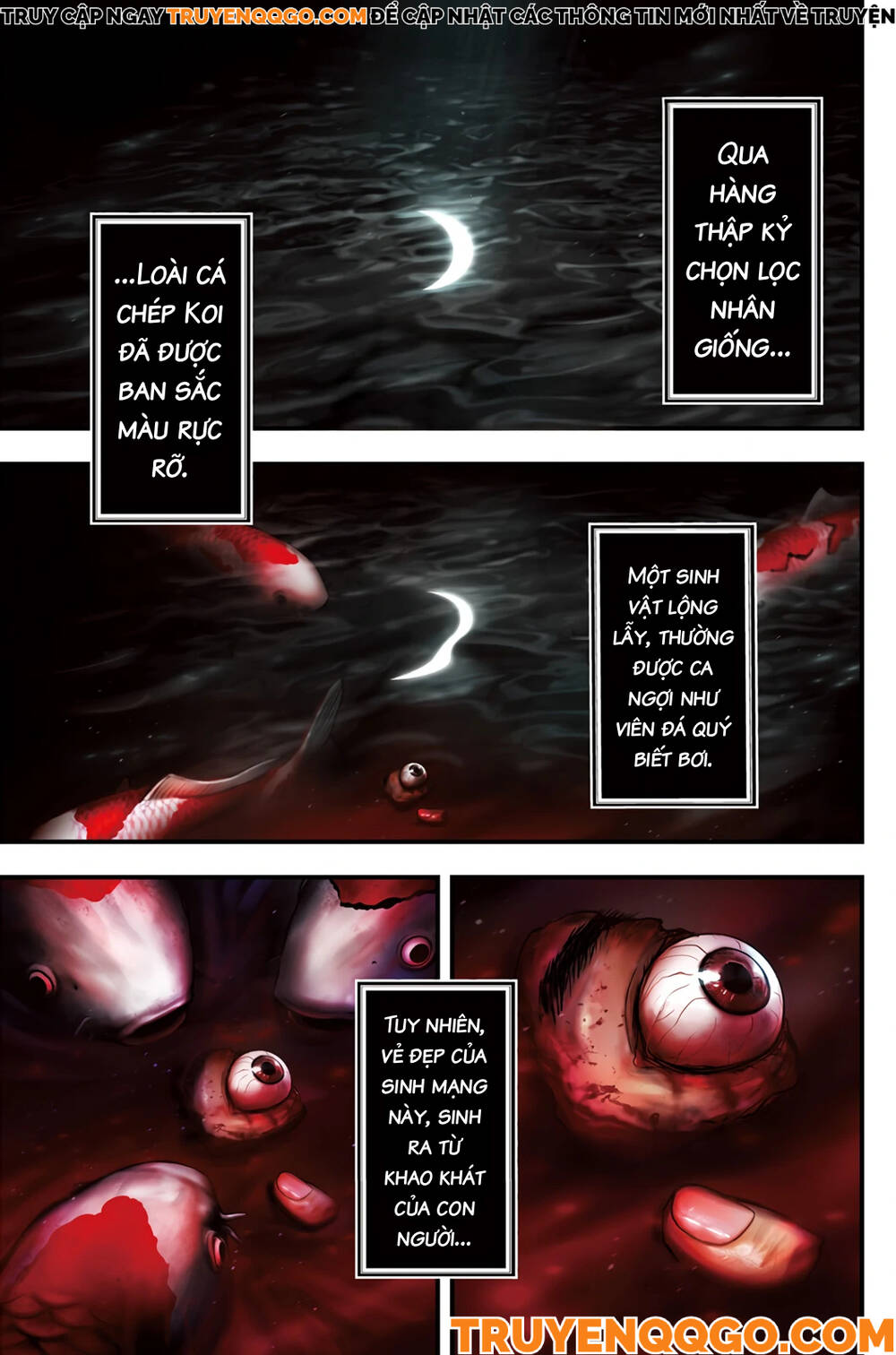 Cá Koi Nishiki: Chapter 1