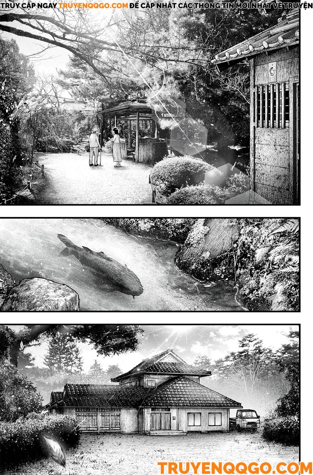 Cá Koi Nishiki: Chapter 1