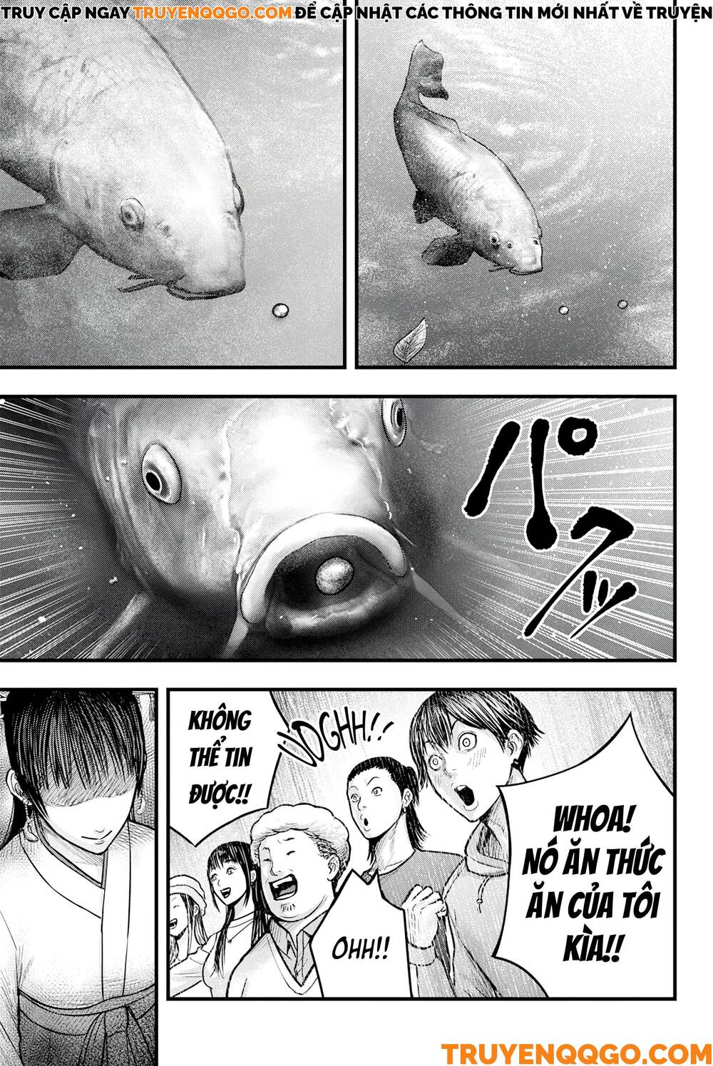 Cá Koi Nishiki: Chapter 1