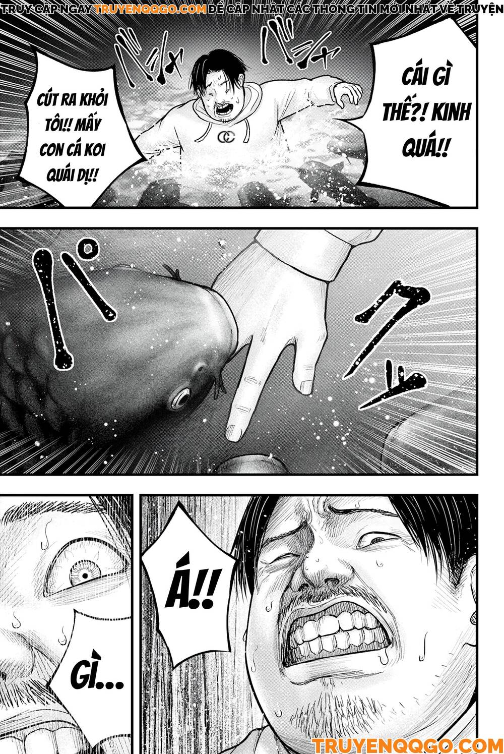 Cá Koi Nishiki: Chapter 1