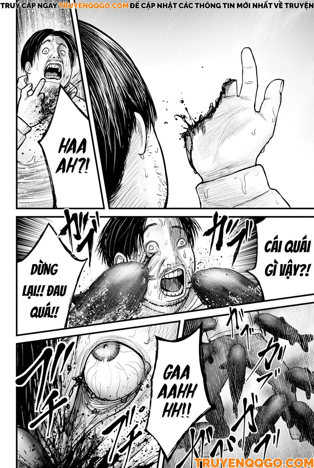 Cá Koi Nishiki: Chapter 1