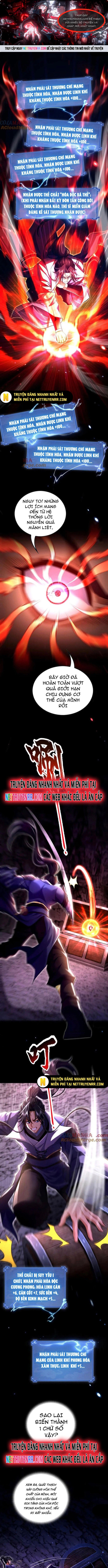 Các Nữ Sư Tôn Đều Muốn Chiếm Hữu Ta: Chapter 11