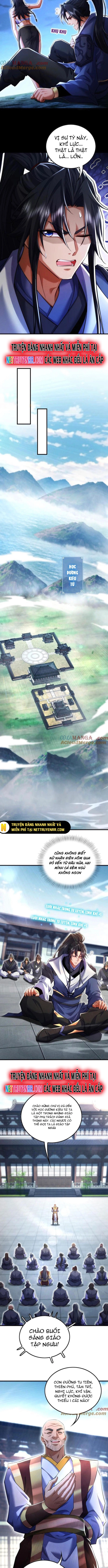 Các Nữ Sư Tôn Đều Muốn Chiếm Hữu Ta: Chapter 11