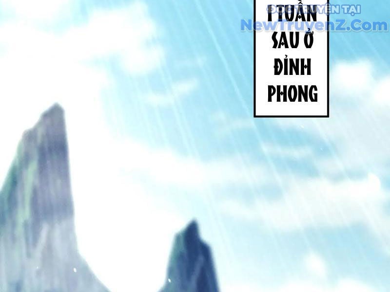 Các Nữ Sư Tôn Đều Muốn Chiếm Hữu Ta: Chapter 19