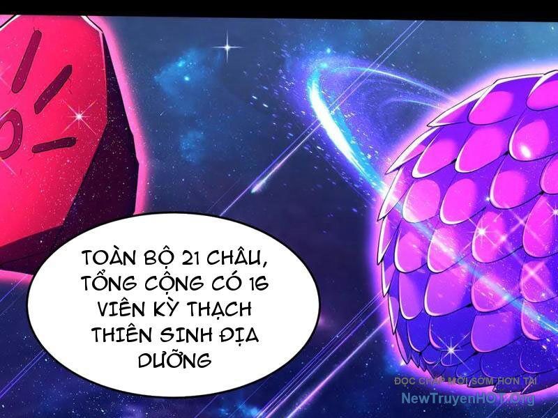 Các Nữ Sư Tôn Đều Muốn Chiếm Hữu Ta: Chapter 22