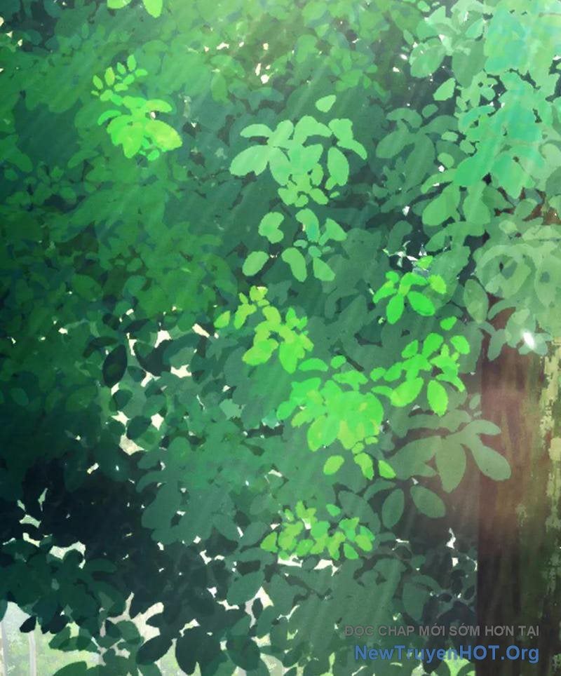 Các Nữ Sư Tôn Đều Muốn Chiếm Hữu Ta: Chapter 23