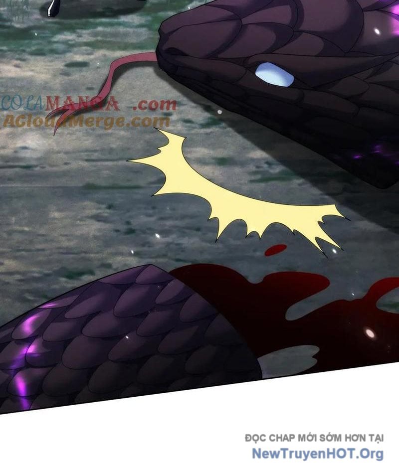 Các Nữ Sư Tôn Đều Muốn Chiếm Hữu Ta: Chapter 23