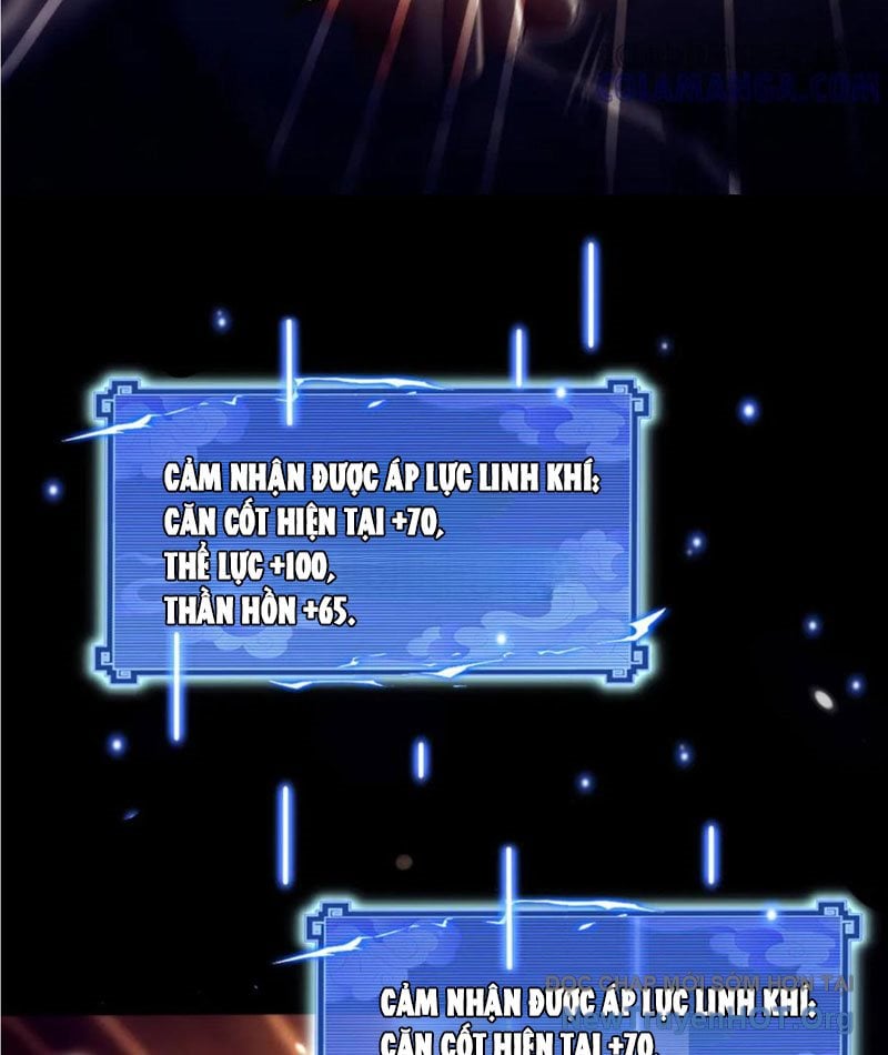 Các Nữ Sư Tôn Đều Muốn Chiếm Hữu Ta: Chapter 24