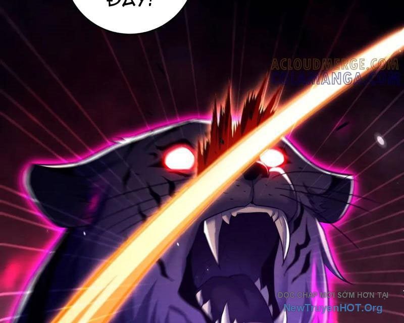 Các Nữ Sư Tôn Đều Muốn Chiếm Hữu Ta: Chapter 25