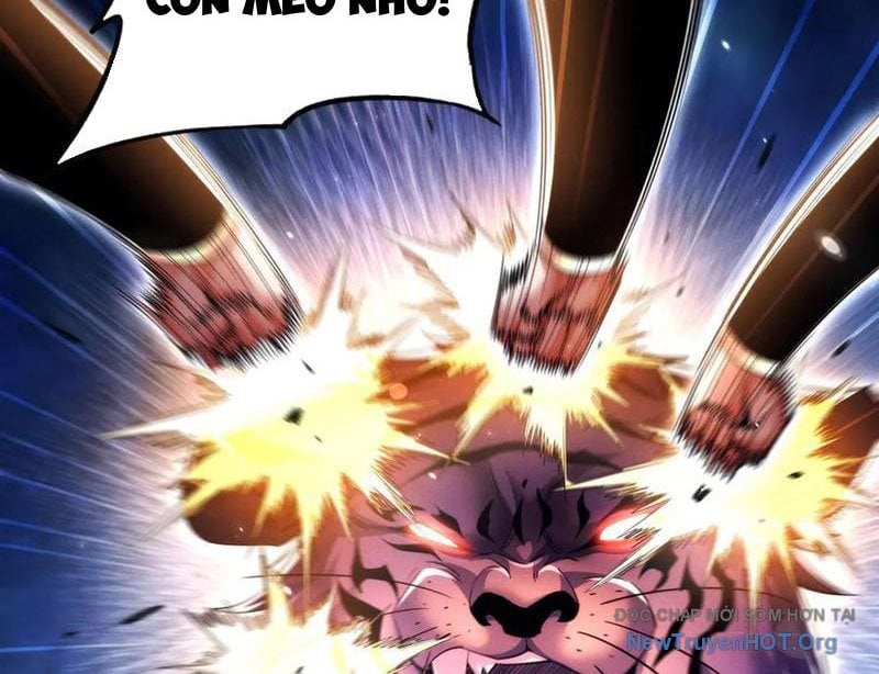 Các Nữ Sư Tôn Đều Muốn Chiếm Hữu Ta: Chapter 25