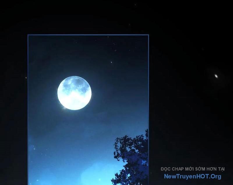 Các Nữ Sư Tôn Đều Muốn Chiếm Hữu Ta: Chapter 25