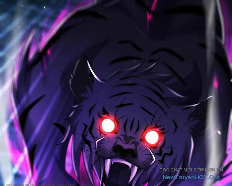 Các Nữ Sư Tôn Đều Muốn Chiếm Hữu Ta: Chapter 25