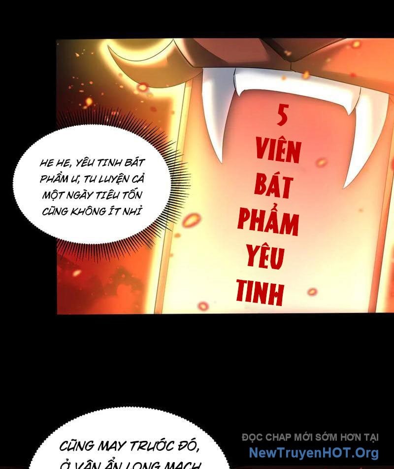 Các Nữ Sư Tôn Đều Muốn Chiếm Hữu Ta: Chapter 31