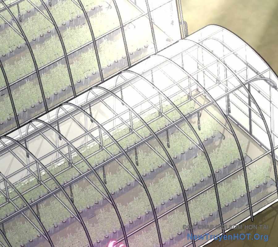 Cách Một Tử Linh Sư Cấp Thảm Họa Nghỉ Hưu: Chapter 42