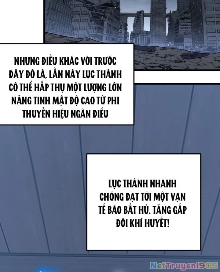 Cao Võ: Hạ Cánh Đến Một Vạn Năm Sau: Chapter 233