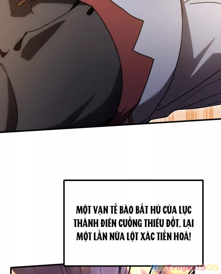 Cao Võ: Hạ Cánh Đến Một Vạn Năm Sau: Chapter 241