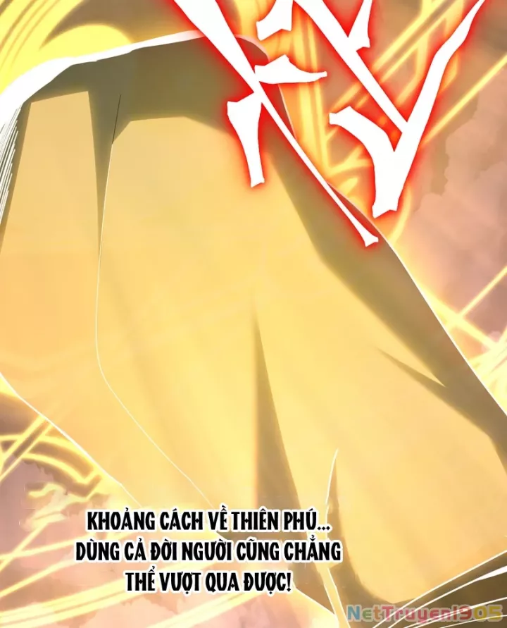 Cao Võ: Hạ Cánh Đến Một Vạn Năm Sau: Chapter 241