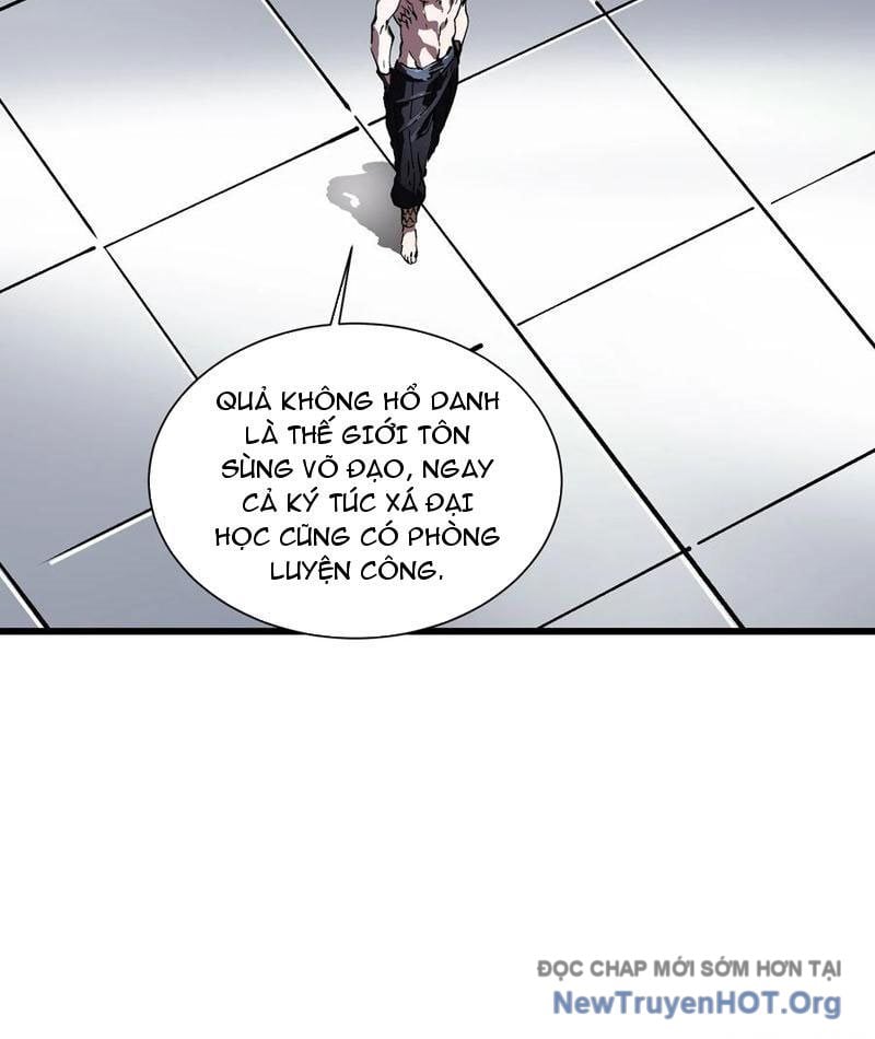 Cao Võ Tiến Hóa: Bắt Đầu Thức Tỉnh Quái Thú Chi Vương: Chapter 43