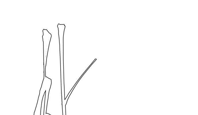 Cậu Bé Của Thần Chết: Chapter 3