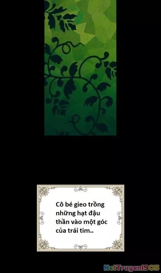 Câu chuyện cổ tích của mẹ kế: Chapter 1.1