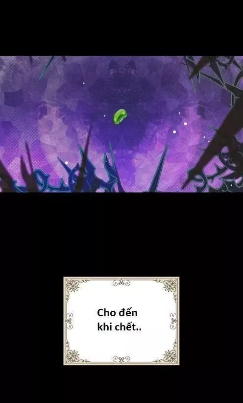 Câu chuyện cổ tích của mẹ kế: Chapter 1.2
