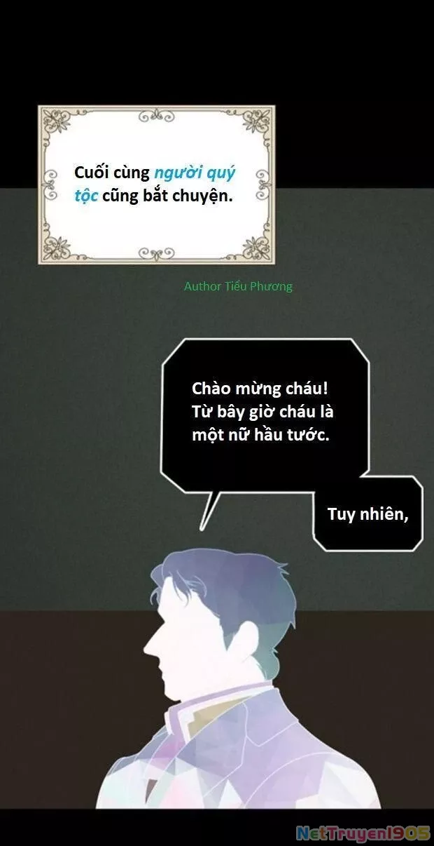 Câu chuyện cổ tích của mẹ kế: Chapter 1.2