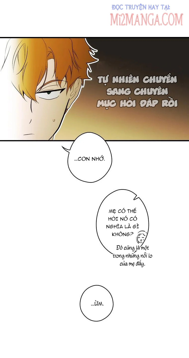Câu chuyện cổ tích của mẹ kế: Chapter 72.5