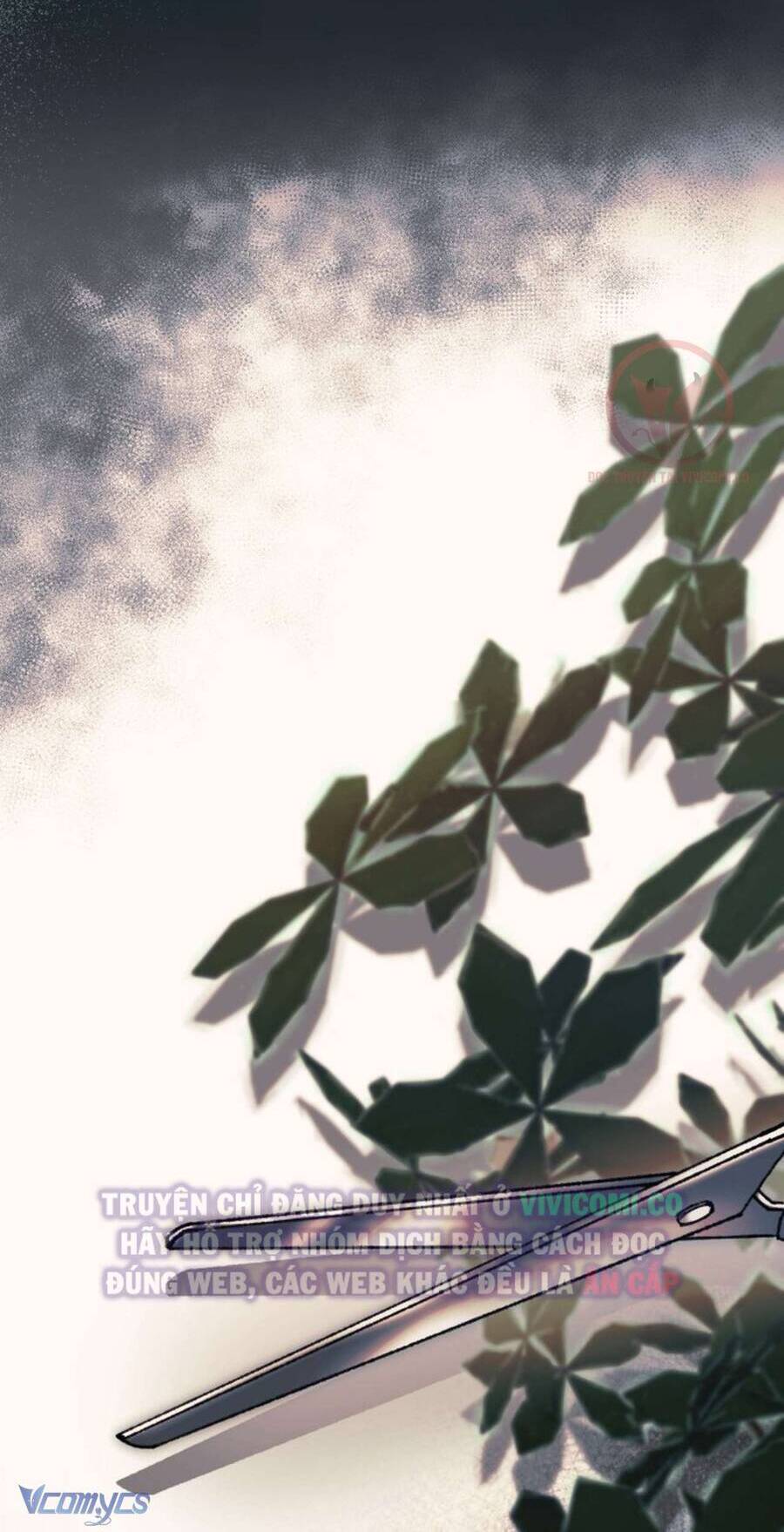 Chàng Quỷ Của Tôi: Chapter 5