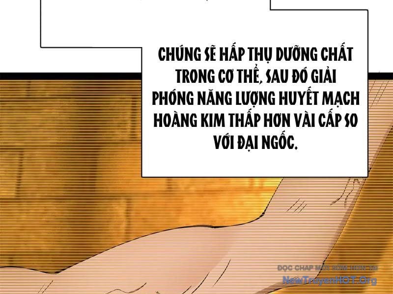 Chàng Rể Mạnh Nhất Lịch Sử: Chapter 325