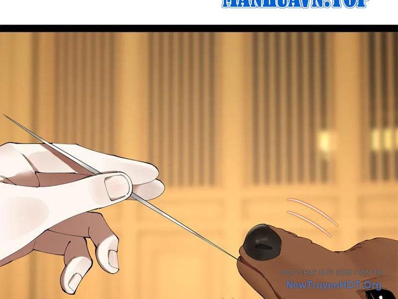 Chàng Rể Mạnh Nhất Lịch Sử: Chapter 325