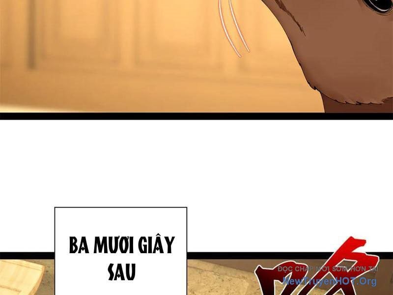 Chàng Rể Mạnh Nhất Lịch Sử: Chapter 325