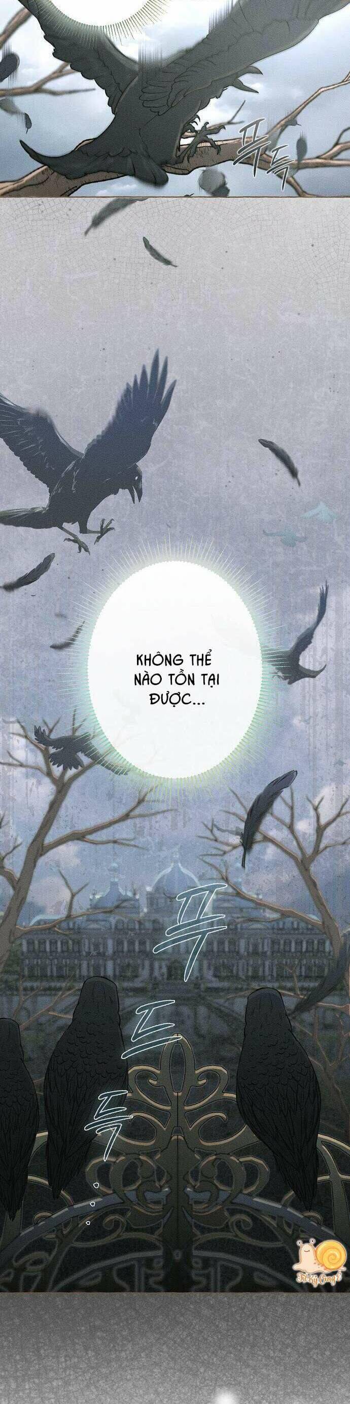 Chàng Tiên Cá Bị Giam Cầm Trong Hồ Nhà Tôi: Chapter 1