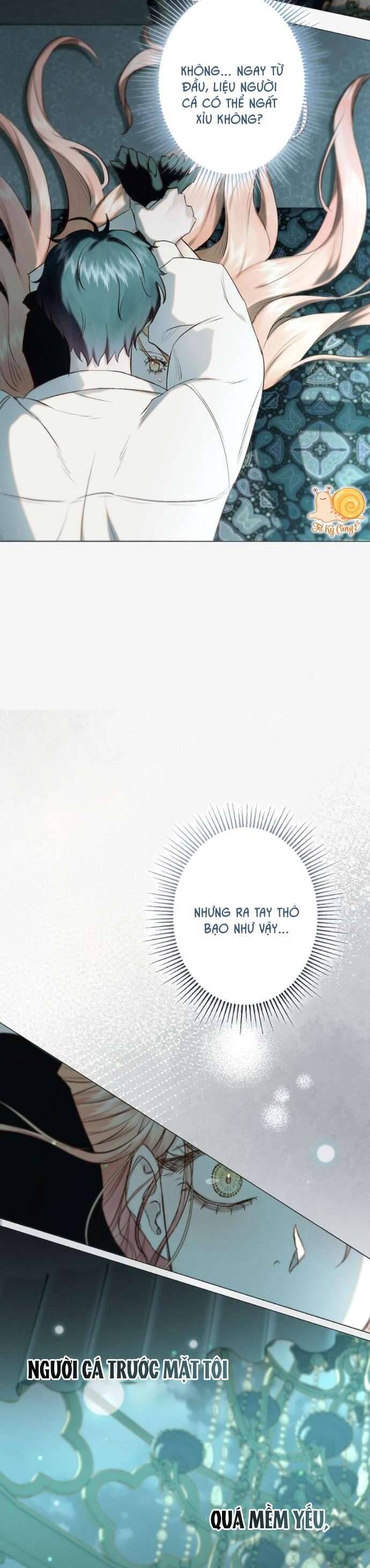 Chàng Tiên Cá Bị Giam Cầm Trong Hồ Nhà Tôi: Chapter 16