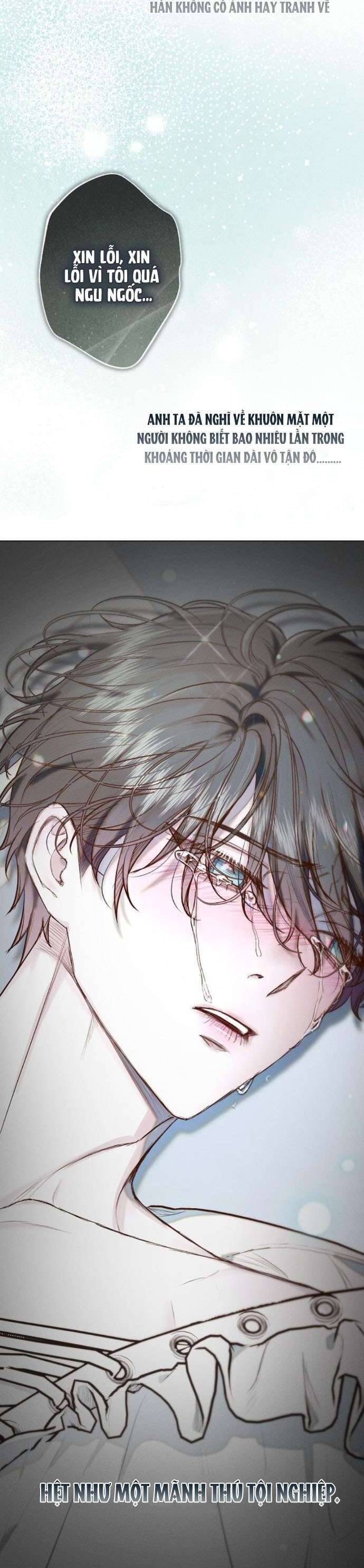 Chàng Tiên Cá Bị Giam Cầm Trong Hồ Nhà Tôi: Chapter 19