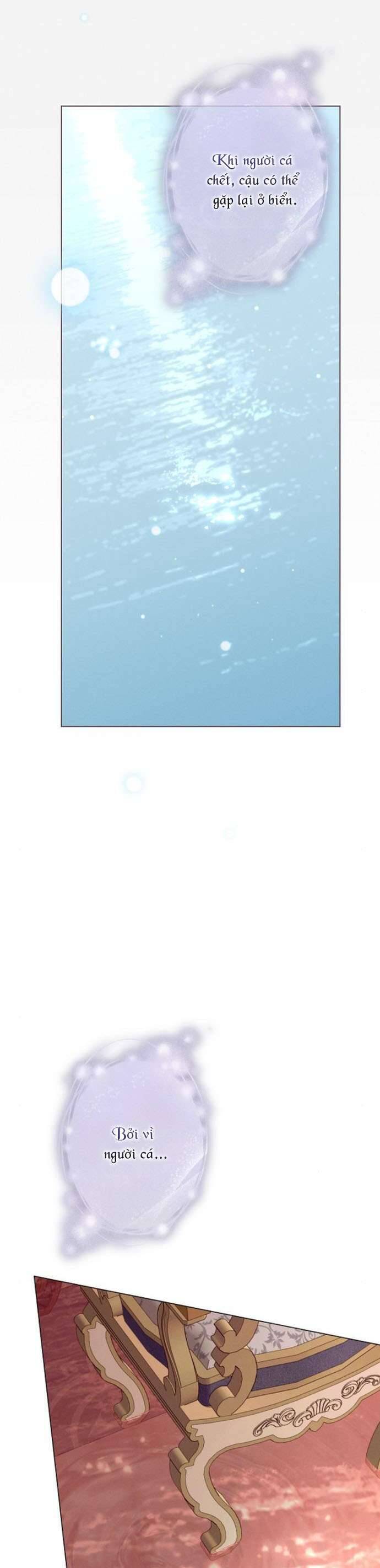 Chàng Tiên Cá Bị Giam Cầm Trong Hồ Nhà Tôi: Chapter 19