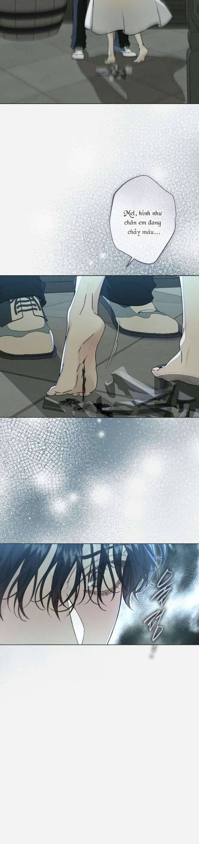 Chàng Tiên Cá Bị Giam Cầm Trong Hồ Nhà Tôi: Chapter 24